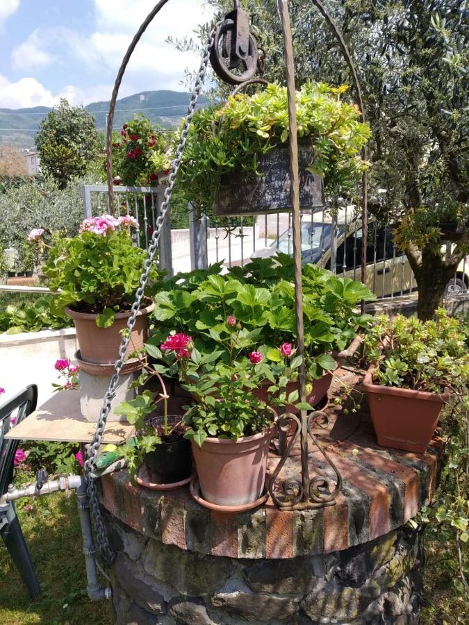 Al Pozzo Bed and Breakfast Negrar Buitenkant foto
