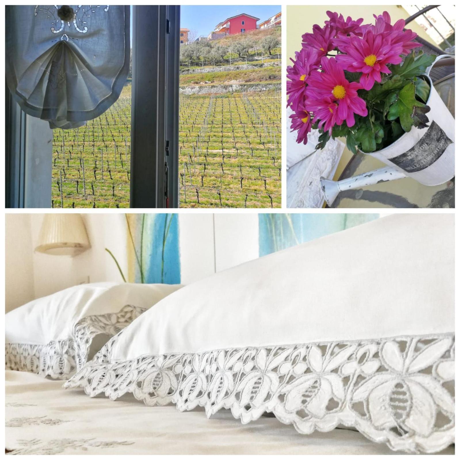 Al Pozzo Bed and Breakfast Negrar Buitenkant foto